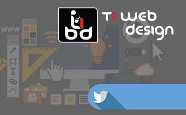 Ti Web Design