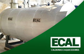 Ecal