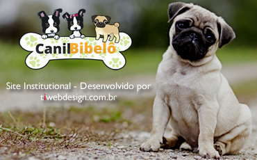Canil Bibelo