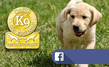 Canil K9